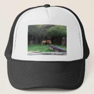 Lion Truckerkappe