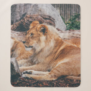 LION UND LIONESS AUF DER BROWNEN OBERFLÄCHE SHERPADECKE
