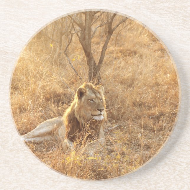 Lion Untersetzer (Vorne)