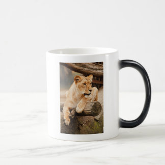 LION VERWANDLUNGSTASSE