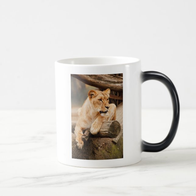 LION VERWANDLUNGSTASSE (Rechts)