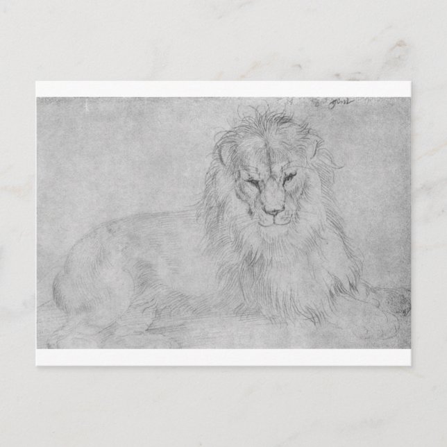 Lion von Albrecht Durer Postkarte (Vorderseite)