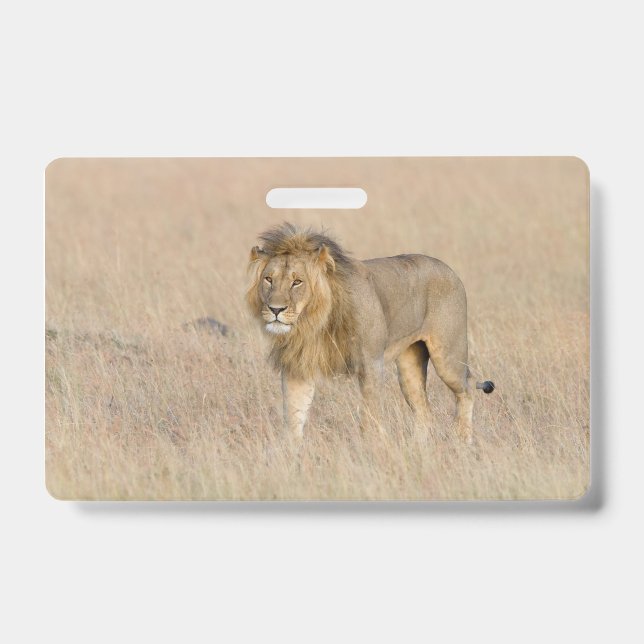 Lion Walking Ausweis (Vorderseite)