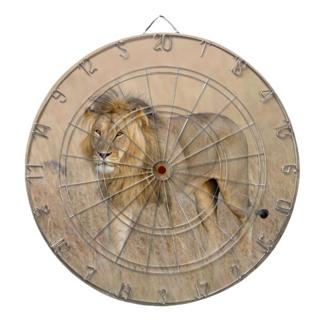 Lion Walking Dartscheibe (vorne)