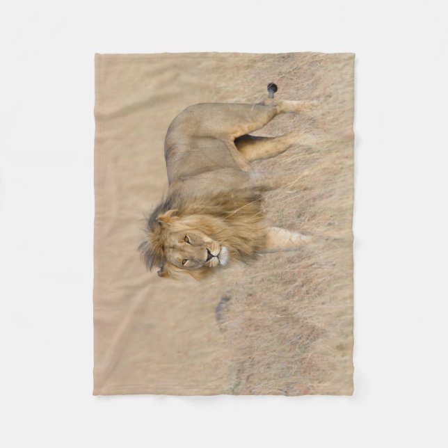 Lion Walking Fleecedecke (Vorderseite)