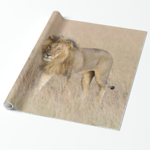 Lion Walking Geschenkpapier