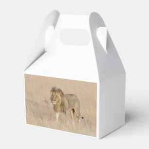 Lion Walking Geschenkschachtel
