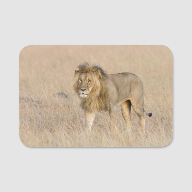 Lion Walking Namensschild (Vorderseite)