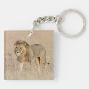Lion walking schlüsselanhänger
