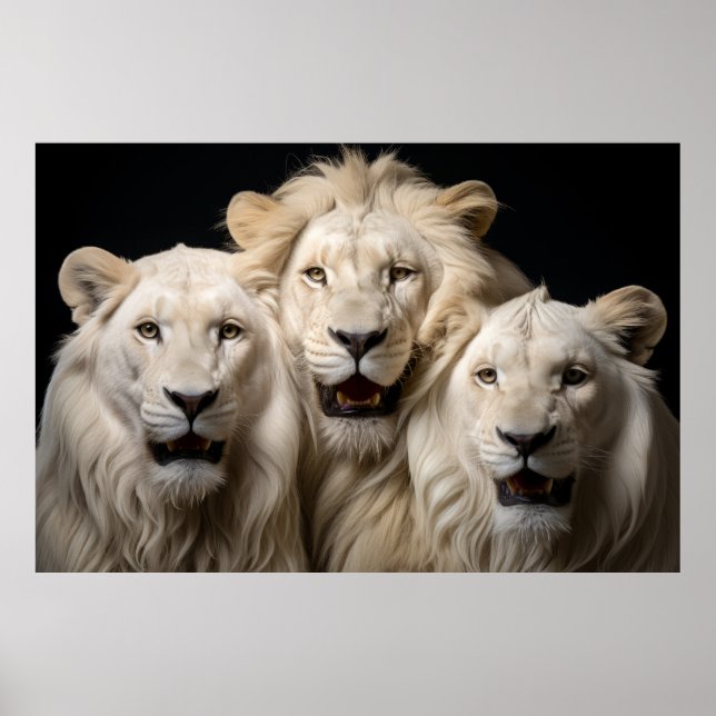 Lion Wild Animal Portrait Fierce Power Poster (Vorne)