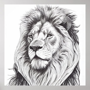 Lion Wild Nature Animal Illustration Zeichnend Kun Poster