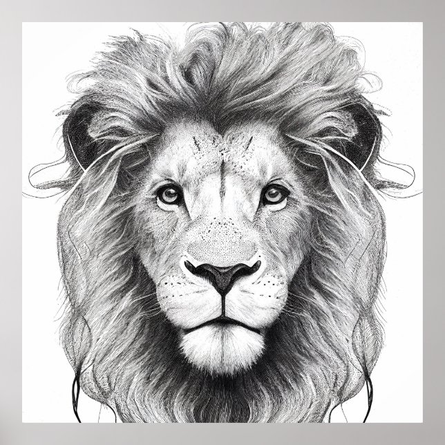 Lion Wild Nature Animal Illustration Zeichnend Kun Poster (Vorne)