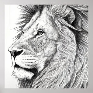 Lion Wild Nature Animal Illustration Zeichnend Kun Poster