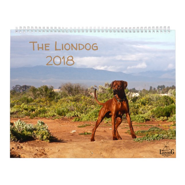 Liondog - Rhodesian Ridgeback Kalender 2018 (Titelbild)