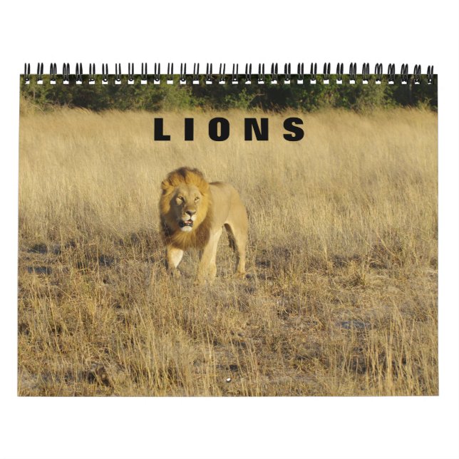 LIONEN - ALLE LIONEN KALENDER (Titelbild)