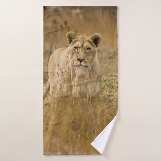 LIONEN IM GRASS BADEHANDTUCH (Badehandtuch)