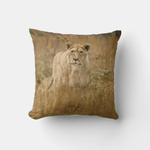 LIONEN IM GRASS KISSEN