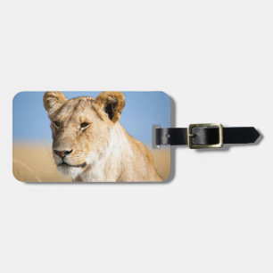 Lioness Against Blue Gepäckanhänger