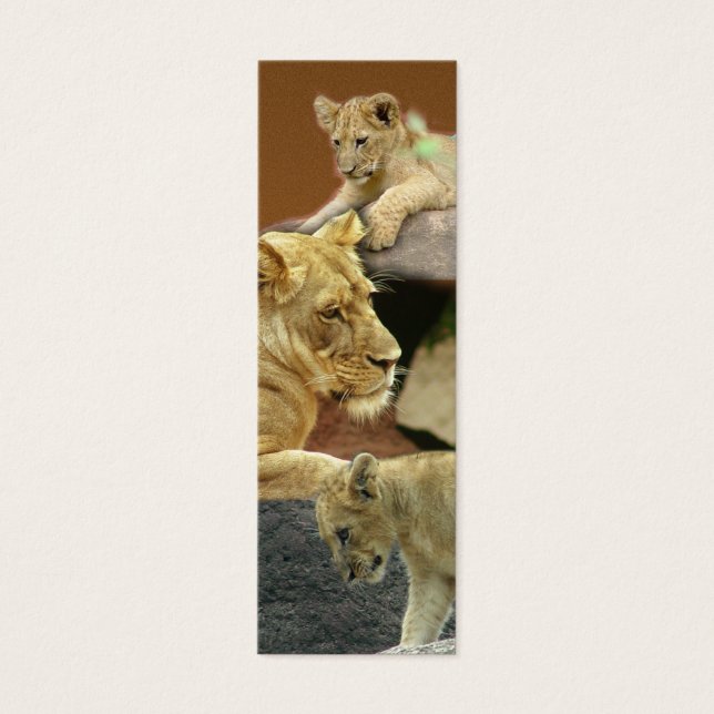 Lioness and Cubs Mini Lesezeichen / (Vorderseite)