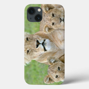 Lioness and Two Cubs, East Africa, Tanzania, Case-Mate iPhone Hülle