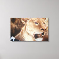 Lioness auf ihrem Tod