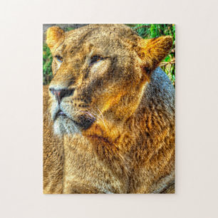 Lioness Big Cats. Puzzle