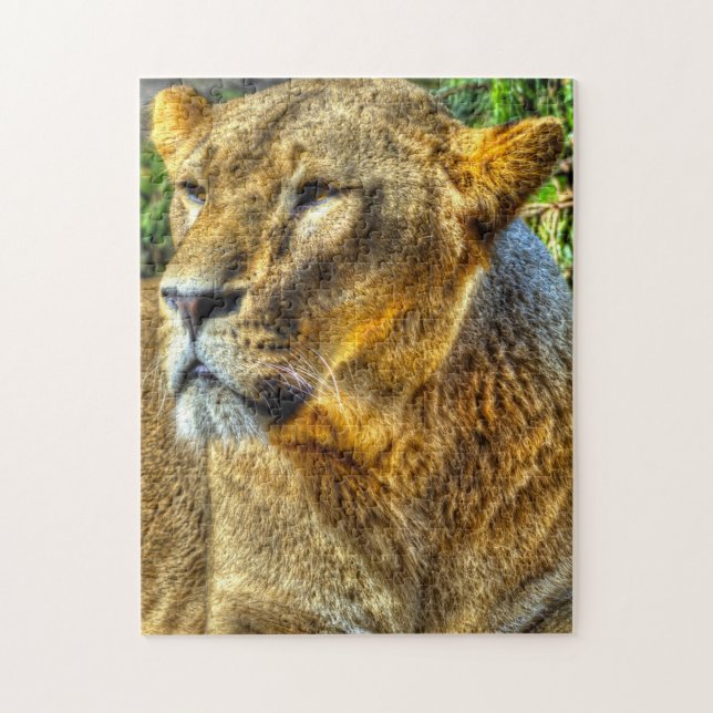 Lioness Big Cats. Puzzle (Vertikal)