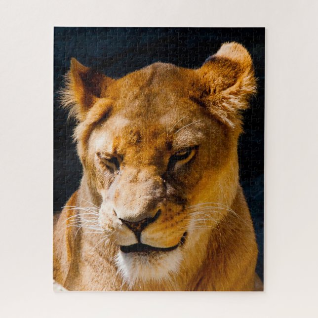 Lioness Big Cats. Puzzle (Vertikal)