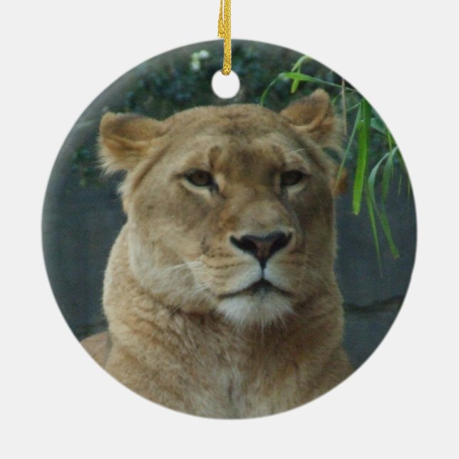 Lioness Ornament (Hinten)