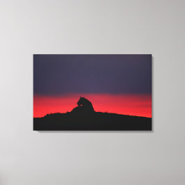 Lioness (Panthera leo) sitzend, bei Sonnenuntergan Leinwanddruck