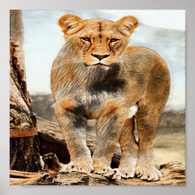 Lioness-Portrait Poster (Vorne)