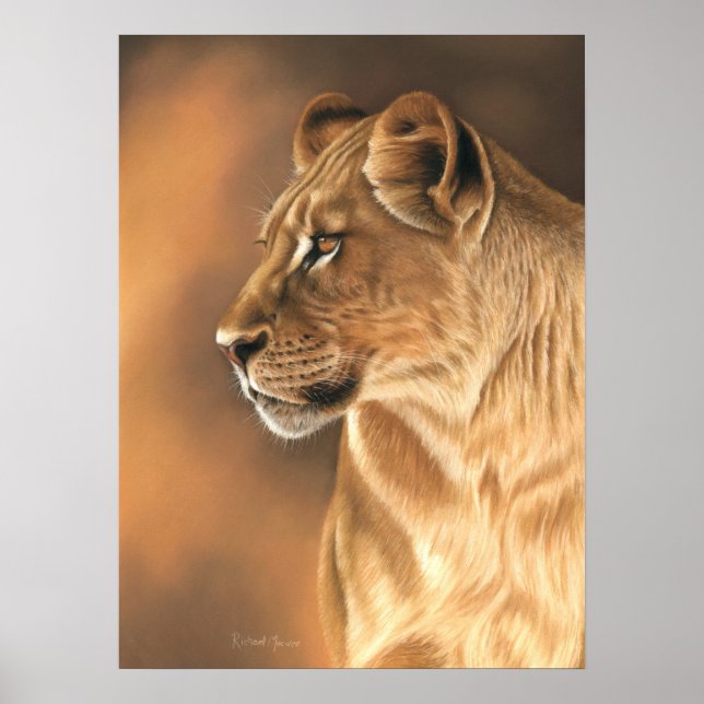 Lioness Poster (Vorne)