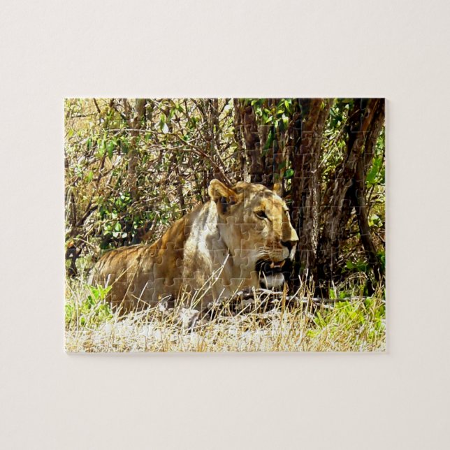 Lioness Puzzle (Horizontal)