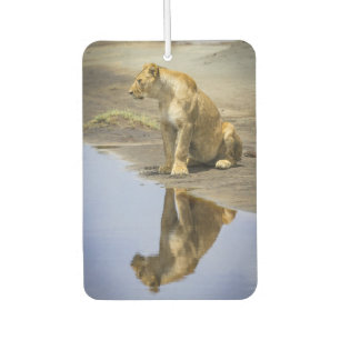 Lioness Reflection Air Freshener Autolufterfrischer