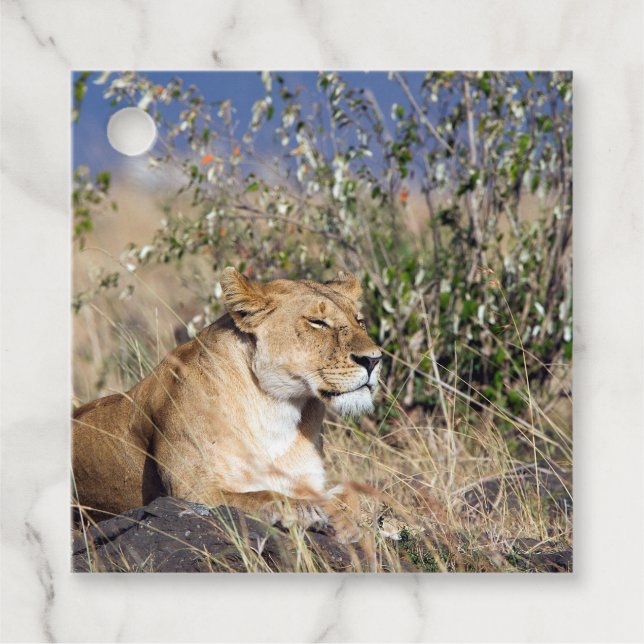 Lioness ruht geschenkanhänger (Vorderseite)
