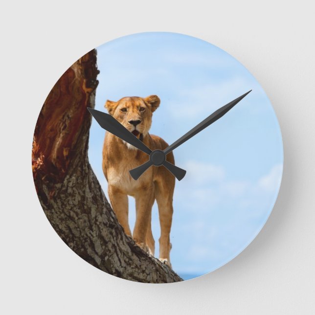 Lioness Runde Wanduhr (Vorderseite)