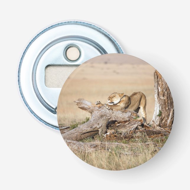 Lioness stretching flaschenöffner (Vorderseite)