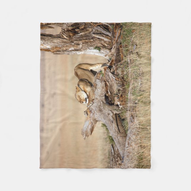 Lioness stretching fleecedecke (Vorderseite)