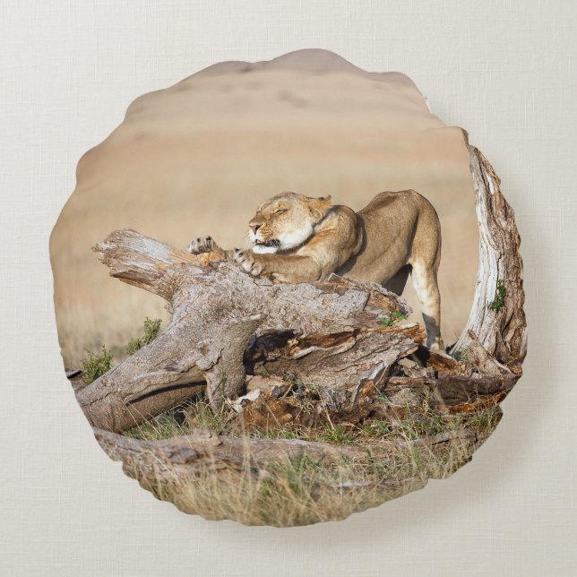 Lioness stretching rundes kissen (Rückseite)
