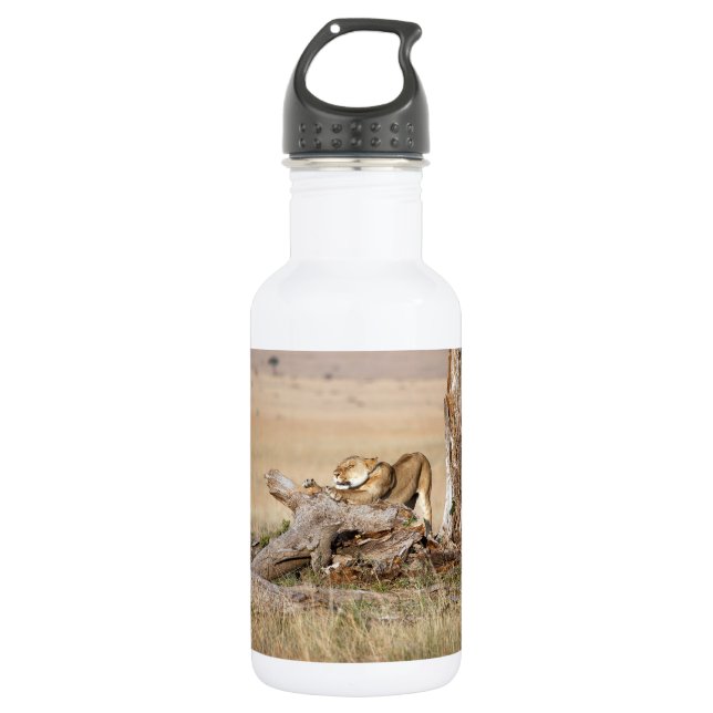 Lioness stretching trinkflasche (Vorderseite)