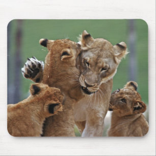 Lioness und 3 Cubs Mousepad