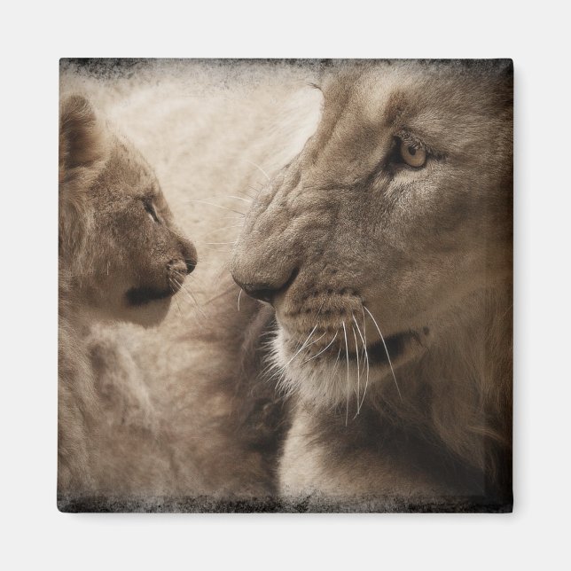 Lioness und Cube Magnet (Vorne)