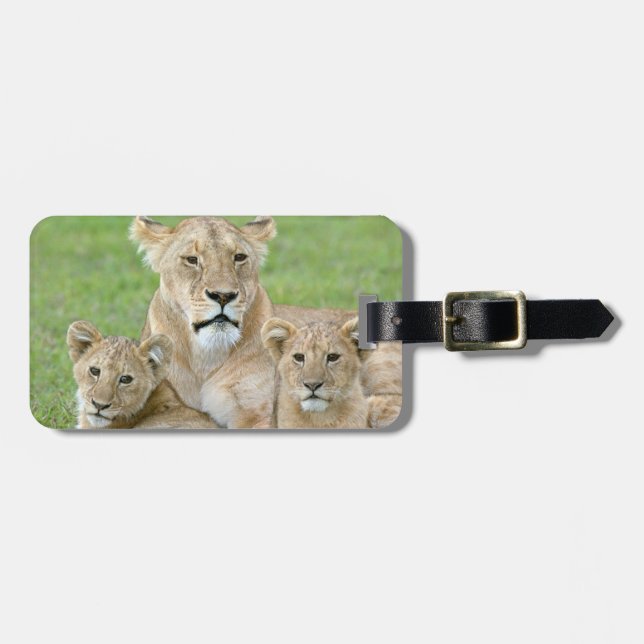 Lioness und Two Cubs, Ostafrika, Tansania, Gepäckanhänger (Vorderseite horizontal)