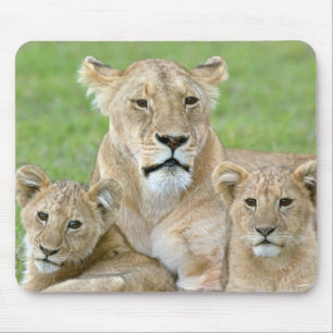 Lioness und Two Cubs, Ostafrika, Tansania, Mousepad