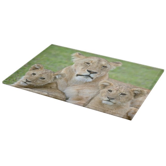 Lioness und Two Cubs, Ostafrika, Tansania, Schneidebrett (Ecke)