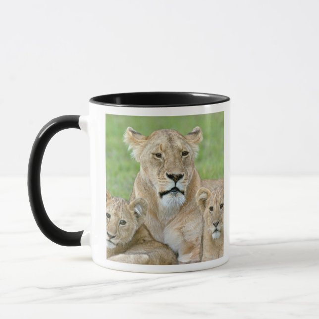 Lioness und Two Cubs, Ostafrika, Tansania, Tasse (Links)