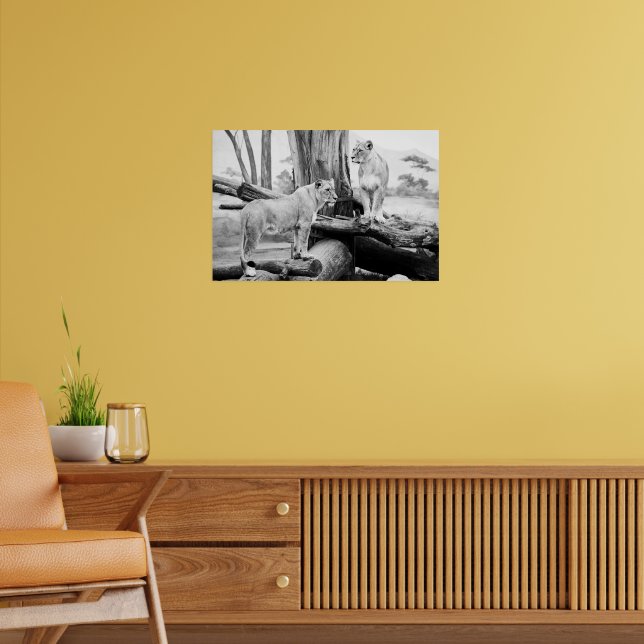 Lioness Wildlife Black & White Fotografy Art Poster (Wohnzimmer 2)