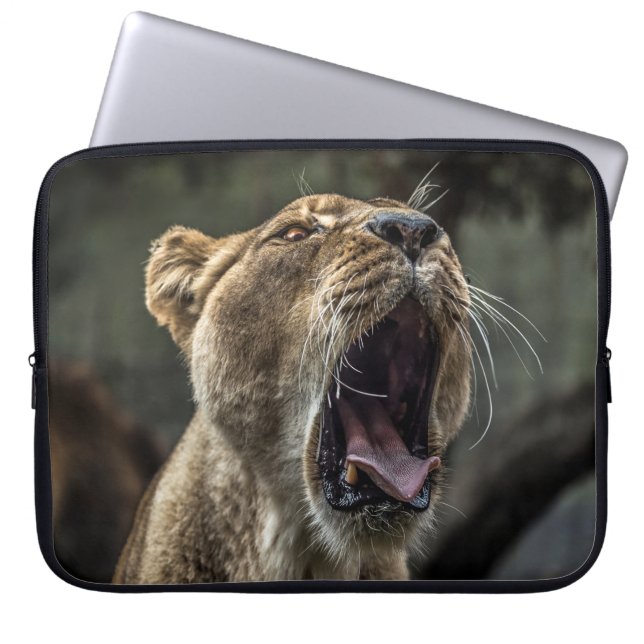 LIONESS YAWNING LAPTOPSCHUTZHÜLLE (Vorderseite)