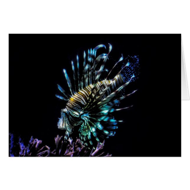 Lionfischschwimme (Vorderseite (Horizontal))