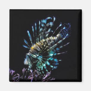 Lionfischschwimme Magnet